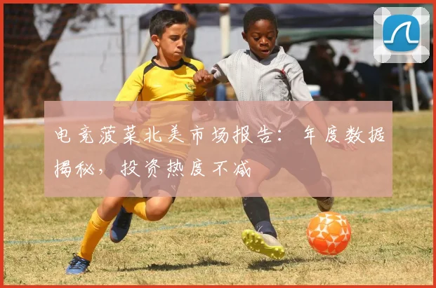 电竞菠菜北美市场报告:年度数据揭秘,投资热度不减