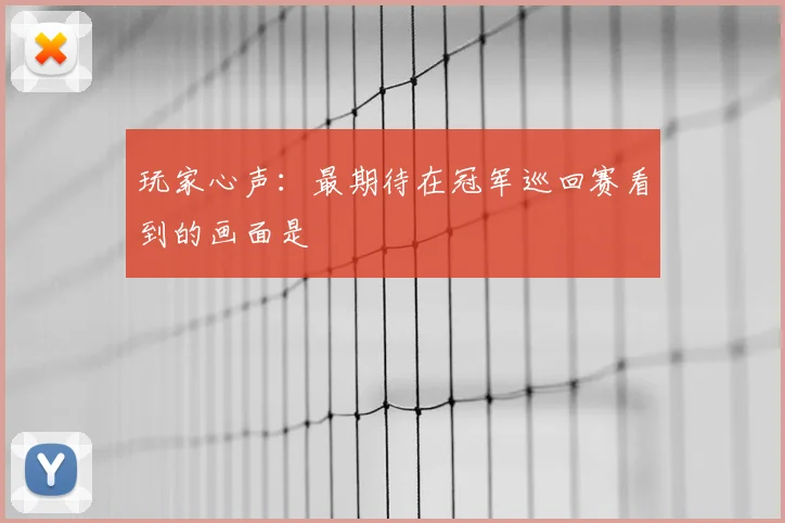 玩家心声:最期待在冠军巡回赛看到的画面是