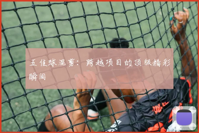 五佳球混剪：跨越项目的顶级精彩瞬间
